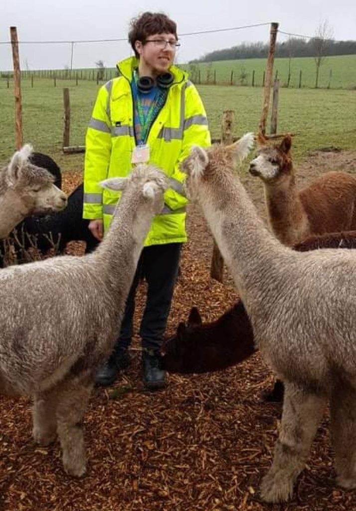 A young man in a hi-vis jacket with headphones, surrounded by alpacas