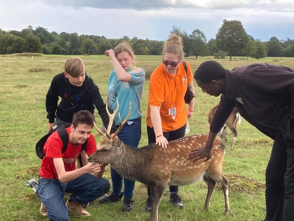 Puzzles members and a staff member in an orange shirt stroking a stag at a deer park