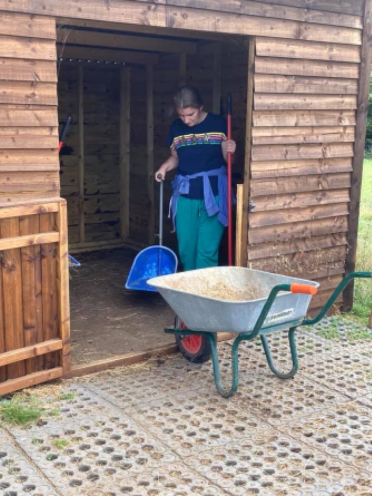 A young woman mucking out an animal shed with a wheelbarrow